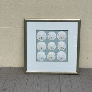 Sand Dollar Wall Art
